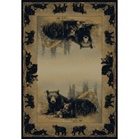 View Rustic Accent Rugs 3