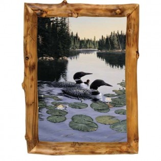 Enchanted Passage Loon Framed Print