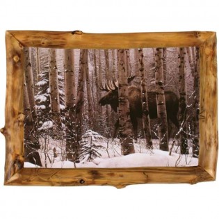 A Walk in the Woods Moose Framed Print