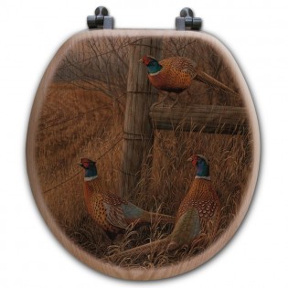 Abandoned Fence Line Toilet seat - Round