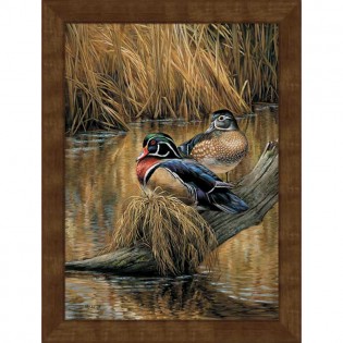 Backwaters Wood Ducks Framed Canvas Print