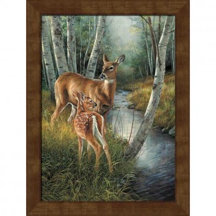 Framed Birch Creek Deer Canvas