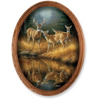 Whitetail Reflections Framed Oval Canvas