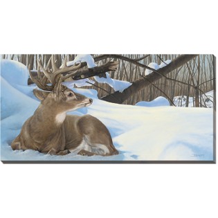 Next Door Neighbors - Deer Wrapped Canvas