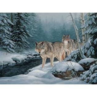 Along the Creek - Wolf Wrapped Canvas
