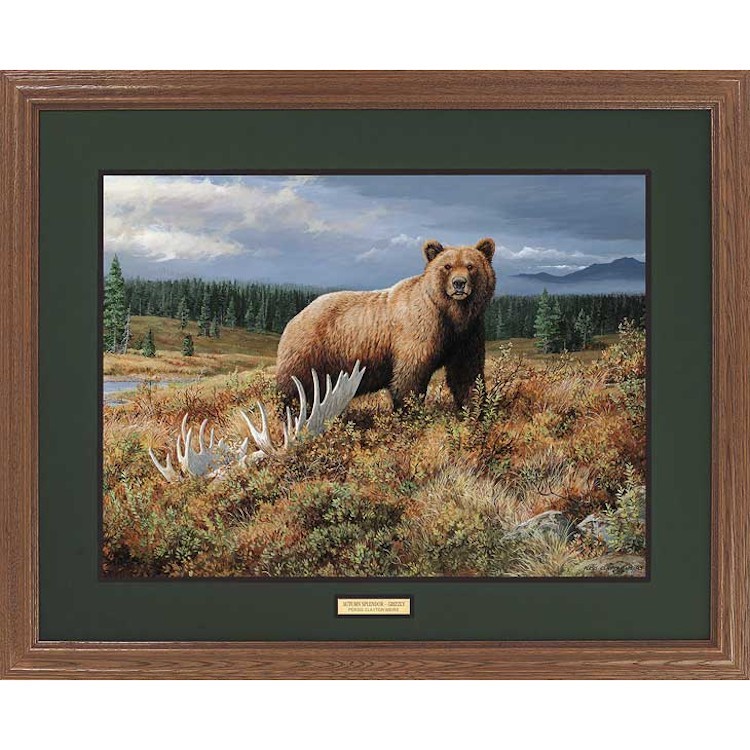 Autumn Splendor Grizzly Bear Framed Art Print