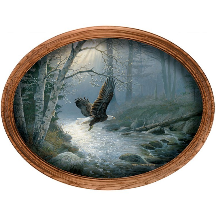 Bald Eagle Framed Oval Canvas