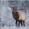 Emperor of the Woods Print Canvas Embellished and Signed