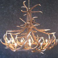 Yuma 12 Antler Chandelier