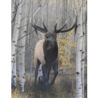 Emperor of the Woods II Print Canvas Signed