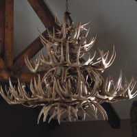 Elk Faux Antler