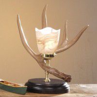 Whitetail Antler Night Lamp