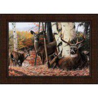 Autumn's Majesty Framed Deer Print
