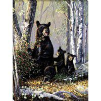Berry Patch - Bear Wrapped Canvas