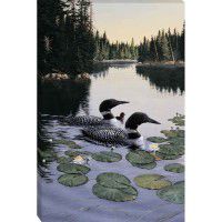 Enchanted Passage - Loon Wrapped Canvas