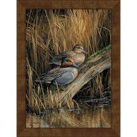 Backwaters Green-winged Teal Ducks Framed Canvas Print