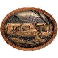 Abandoned Farmstead Whitetail Framed Oval Canvas