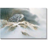 Snow Queen - Snowy Owl Wrapped Canvas Art
