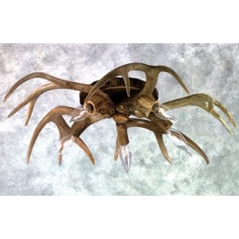 Whitetail Antler Ceiling Light