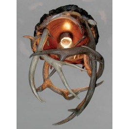 Antler Ceiling Light-Single Light