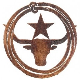 Longhorn Lasso Wall Art -DISCONTINUED