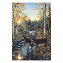 Whitetail Deer Lighted Canvas 24 x 16