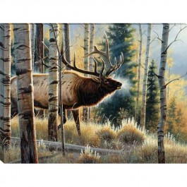 Early Morning Bull - Elk Wrapped Canvas