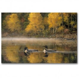 Autumn Morning Loons Wall Art