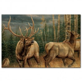Back Country Elk Wall Art