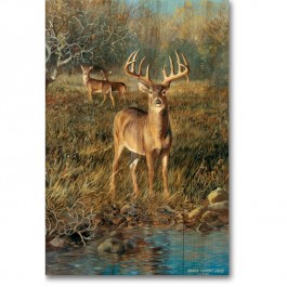 Deer at First Light Wall Art