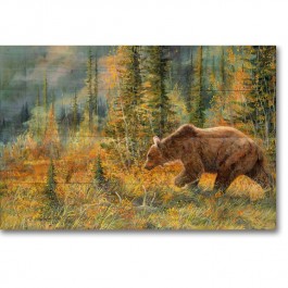 Grizzly Bear Walking Wall Art