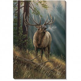 Calling All Challengers - Elk Wrapped Canvas Art