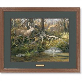 When Seasons Change â€“ Whitetail Deer Framed Art Print