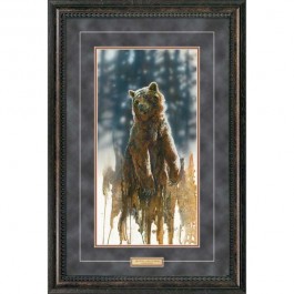 Up Close-Grizzly Bear Framed Print