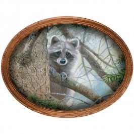 Rascal Raccoon Framed Oval Canvas