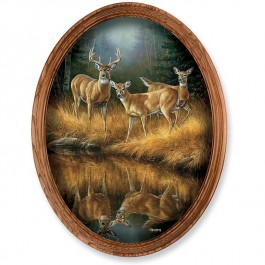 Whitetail Reflections Framed Oval Canvas