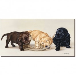 Bad Boys - Lab Puppies Wrapped Canvas Art