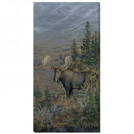 Big Country - Moose Wrapped Canvas Art