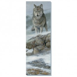 Gray Wolf Wrapped Canvas Art