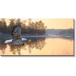 Gone Fishing â€“Bald Eagle Wrapped Canvas