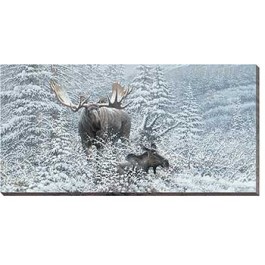 Patient Suitor - Moose Wrapped Canvas