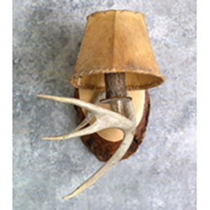 Whitetail Antler Sconce-Single