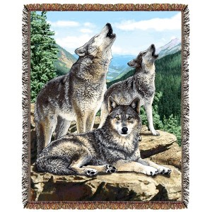 Grey Song Wolf Afghan