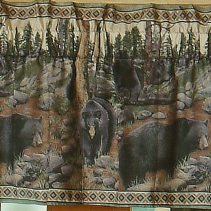 The Bears Valance