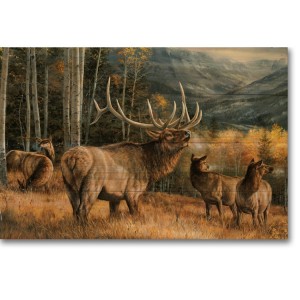 Elks Meadow Music Wall Art