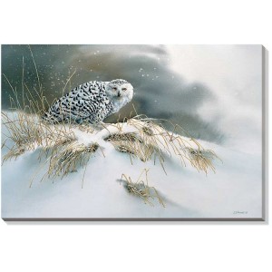 Snow Queen - Snowy Owl Wrapped Canvas Art
