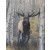 Emperor of the Woods II Print Canvas Signed