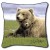 Boyd Norton Bear Pillow