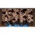 Caldwell Cowhide Valance