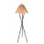 Gifford Pinchot Twig Floor Lamp